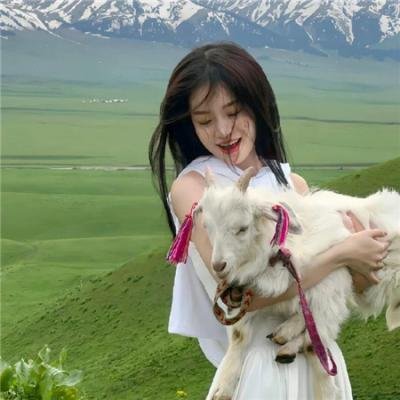 王牌售车员